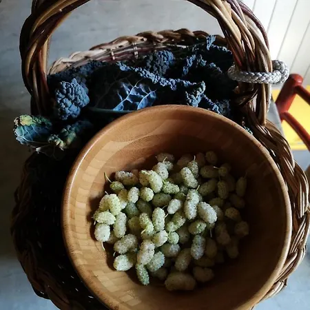 Capanna Delle Cozzole Εξοχικό σπίτι Castellina in Chianti