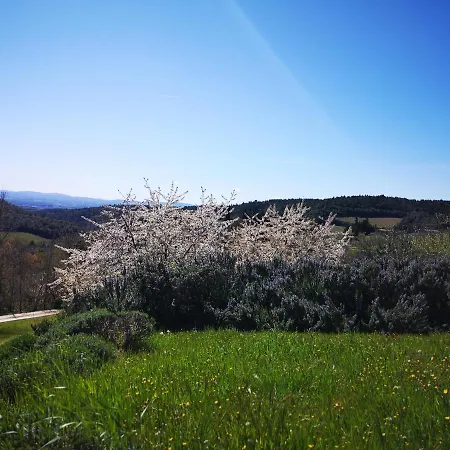 Capanna Delle Cozzole Castellina in Chianti